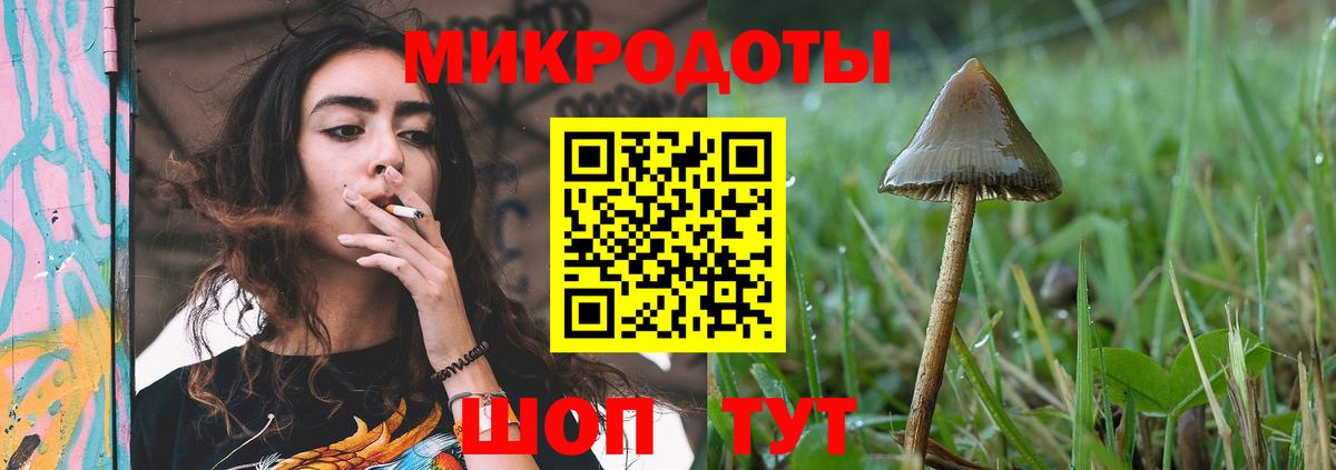 Галлюциногенные грибы MAGIC MUSHROOMS Новоалтайск
