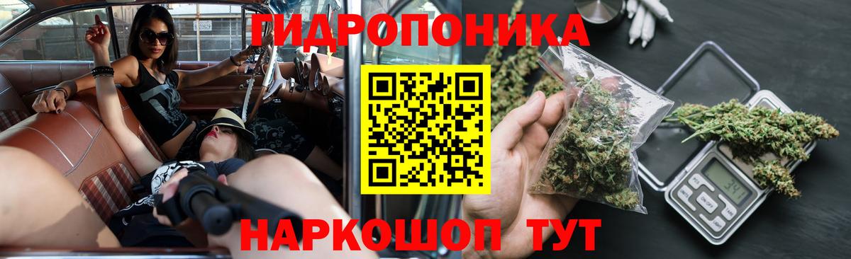 Бошки Шишки конопля  МАРИХУАНА план  Новоалтайск  Вход с VPN 
